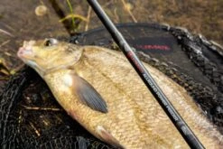 Ultimate Allround Power Feeder -Fishing Verkoop 01299b08f65e9c2a