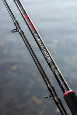 Ultimate Allround Catfish 300cm, Meervalhengel -Fishing Verkoop 118dbeada876c8d2