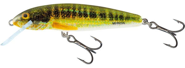 Salmo Minnow Floating 'Holo Real Minnow' 6cm (4g) 4 Salmo Minnow Floating 'Holo Real Minnow' 6cm (4g) - Afbeelding 2