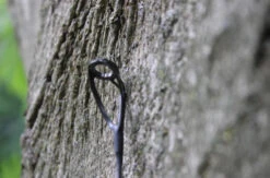 Ashima Travel FFX-S 10ft 3m 3.25Lb 7 Ashima Travel FFX-S 10ft 3m 3.25Lb -Fishing Verkoop 4a7d69384d52c63c