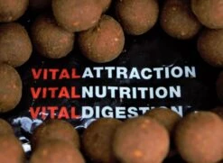 Vital Baits Boilies The Kraken 24mm (5kg) -Fishing Verkoop 622cc31d70ebec7d