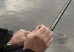 Cresta Spaghetti Balls Blood Red -Fishing Verkoop 7a9eca116683f06b