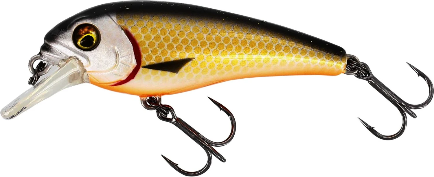 Westin BullyBite Crankbait 6cm Official Roach 3 Westin BullyBite Crankbait 6cm Official Roach