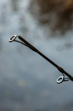 Ultimate Allround Catfish 300cm, Meervalhengel -Fishing Verkoop 8b26784bce510e61