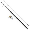 Mitchell Tanager SW Boat Spinning Combo 2,40m (100-300g) -Fishing Verkoop 9ecd9dc3bb17a7db