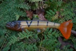 Hostagevalley Troubletail 14cm (30g) Transparent Trout -Fishing Verkoop ca317364a01461ca