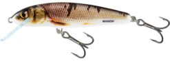Salmo Minnow Floating 'Holo Real Minnow' 6cm (4g) 7 Salmo Minnow Floating 'Holo Real Minnow' 6cm (4g) -Fishing Verkoop e1fa3174b6acd01a