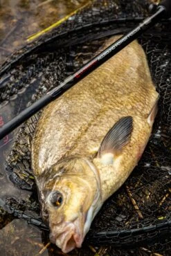 Fishing Verkoop -Fishing Verkoop faca55224dff4286